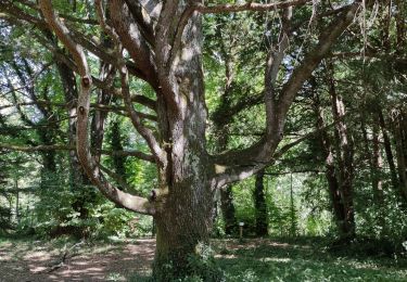 Percorso Marcia Grospierres - SOWEL LE parc du chateau - Photo