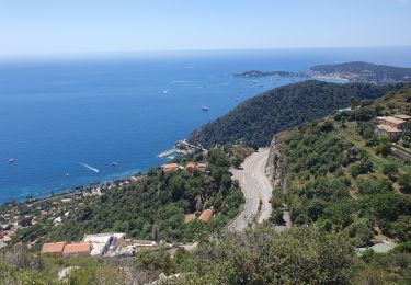 Tocht Stappen Èze - Eze mer et village / tour du mont Bastide - Photo