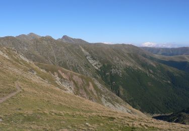 Excursión A pie Avrig - Avrig - Cabana Bârcaciu - creasta principală - Photo