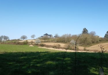 Tour Wandern Havelange - maquis ac 3 - Photo