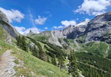 Randonnée Marche Pralognan-la-Vanoise - Pralognan, Lac des Vaches par le téléphérique  - Photo