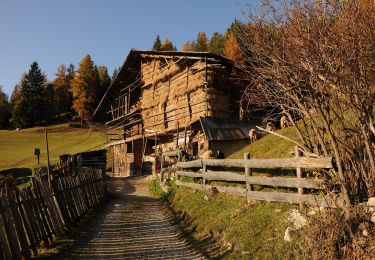 Tour Zu Fuß St. Christina in Gröden - IT-32 - Photo