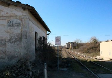 Tocht Te voet Montalcino - IT-5 - Photo