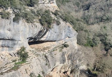 Trail Walking Buoux - 2024-03-15 Buoux - Sivergues - Photo