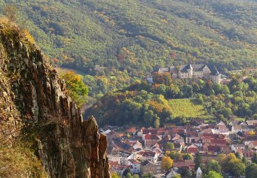 Randonnée A pied Bad Kreuznach - CLASSICtour Rotenfels - Photo