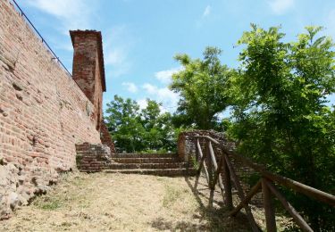 Tour Zu Fuß Certaldo - Dolce campagna, antiche mura 7 - Photo