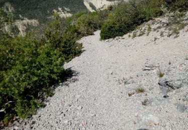 Tocht Stappen Bézaudun-sur-Bîne - Fonderesse - Photo