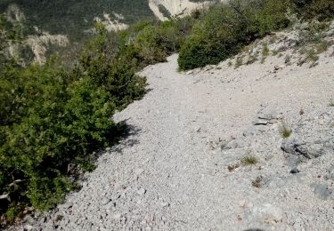 Excursión Senderismo Bézaudun-sur-Bîne - Fonderesse - Photo