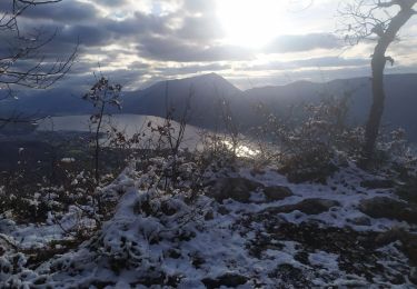 Tour Wandern Aix-les-Bains - 20201226 la Chambotte - Photo