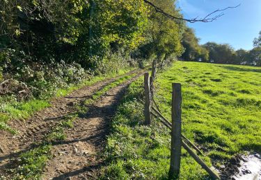 Tour Wandern Dinant - Loyers demi 16,5 km - Photo