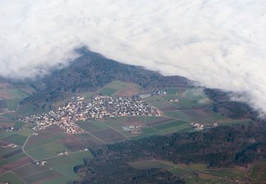 Excursión A pie Illnau-Effretikon - Effretikon - Fluntern - Photo