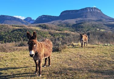 Tour Wandern Crest - crest divajeu - Photo