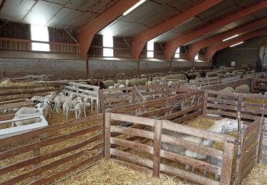 Excursión Senderismo La Couvertoirade - petite balade à La Couvertoirade - Photo