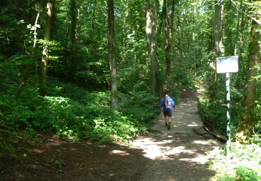 Trail Walking Liège - Grivegnée Beyne-Heusay Jupille Grivegnée - Photo