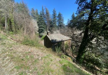 Trail Walking Saint-Étienne-Vallée-Française - Le Martinet - Photo