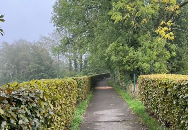 Tocht Stappen Neupré - Rotheux - Photo