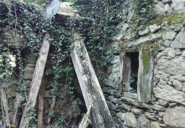 Tocht Stappen Vèbre - Vebre, Lassure, La Remise, Vebre - Photo