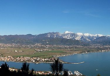 Trail On foot Lerici - Bocca Di Magra - Montemarcello - Zanego – Lerici - Photo