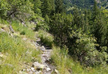 Excursión Senderismo Orcières - Prapric lac des pisses, retour telemix - Photo