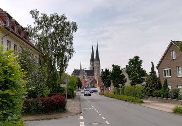 Tocht Te voet Billerbeck - Billerbeck Rundweg B7 - Photo