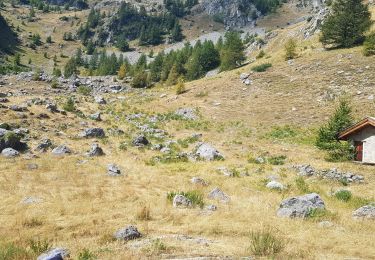 Excursión Senderismo Réallon - les chalets de Vaucluse  - Photo