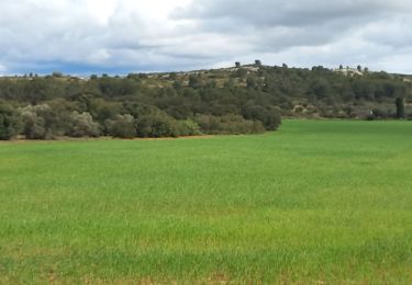 Tocht Stappen Lançon-Provence - La Fare Lançon - Photo