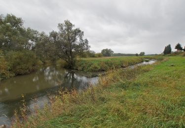 Trail On foot Einbeck - Nordic Walking Park Einbeck - Negenborn - Clus - Rundstrecke 9 - Photo