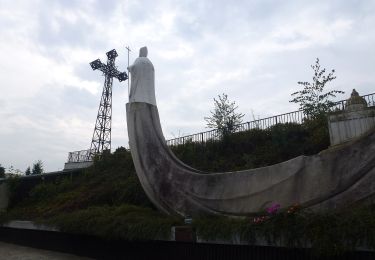 Tour Zu Fuß  - Szlak Dzików - Photo