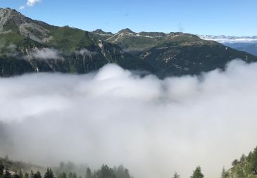 Tour Wandern Peisey-Nancroix - Le Col d’Entreport - Photo