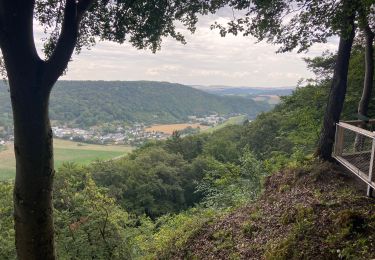 Tour Wandern Echternach - Trek Rchternacht 2  - Photo