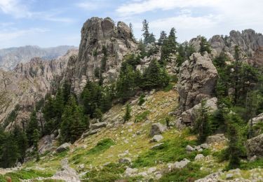 Tour Wandern Zonza - crêtes chainon de paliri sud - Photo