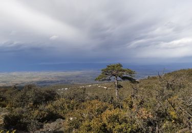 Trail Walking Comigne - Alaric par combe de Migeres  - Photo