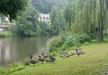 Tocht Stappen Esneux - tilf . ferme de femelette.  roche aux faucons.  avister. tilf  - Photo