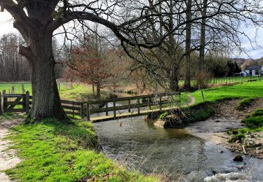 Tocht Stappen Huldenberg - Huldenberg, Up & Down - Photo