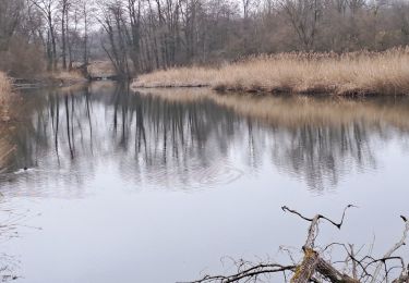 Trail Walking Entrelacs - ALBENS-CROSAGNY-05-02-2024 - Photo