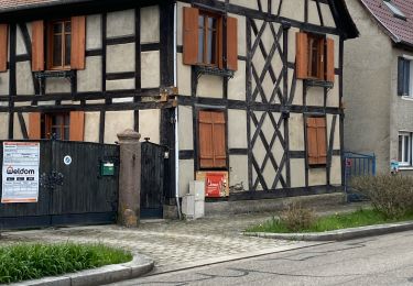 Trail Walking Ottmarsheim - 25 03 30 Autour d’Ottmarsheim avant concert  - Photo