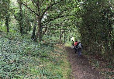 Trail Walking Landéda - Aber Wrach - Aber Benoît - Aber Wrach  - Photo