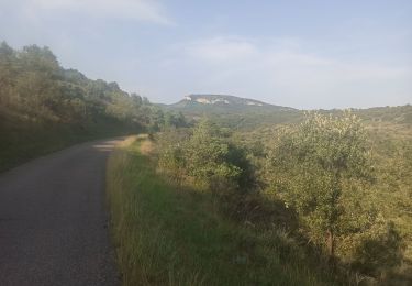 Randonnée V.T.T. Valvignères - Valvigniere Dent de Retz - Photo