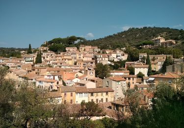 Excursión Bici de montaña Hyères - VTT Patou - Photo