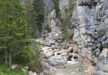 Trail Walking Cortina d'Ampezzo - cascades de fanes 511m 12kms - Photo