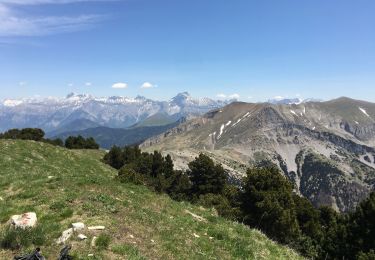 Randonnée Marche Glandage - Belle Motte  - Photo