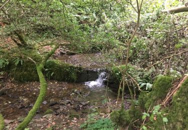 Excursión Senderismo Hastière - Waulsort / 2019-07-14 / 10 km - Photo