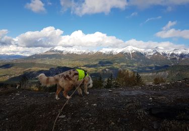 Trail Walking Auzet - Col du Fanget - Photo