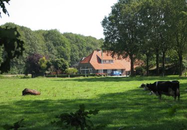 Randonnée A pied Berkelland - Laarzenwandeling Boswachterspad Dolen in Ruurlo - Photo