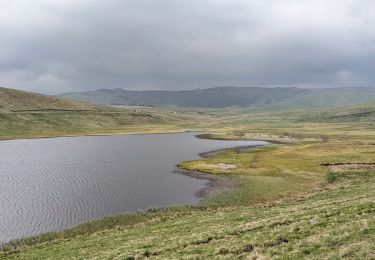 Tour Wandern La Godivelle - boucle la godivelle jassy 15km - Photo