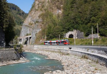 Percorso A piedi Goldegg - Goldegg-St. Veit Stausee - Photo