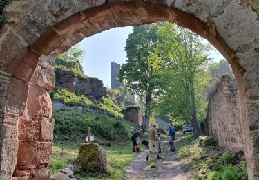 Excursión Senderismo Rosheim - Guirbadem et visite - Photo