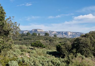 Tocht Stappen Cheval-Blanc - merindol - Photo