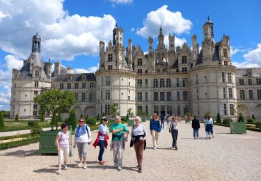 Percorso Marcia Chambord - chambord chateau  - Photo