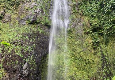 Excursión Marcha nórdica Capesterre-Belle-Eau - Chute  - Photo